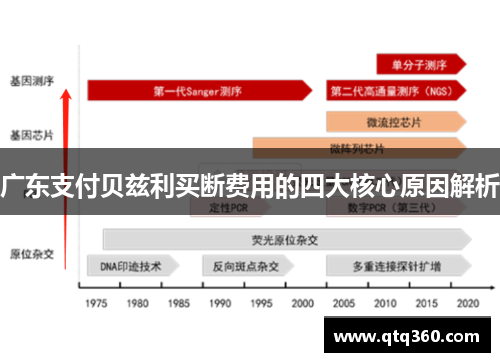 广东支付贝兹利买断费用的四大核心原因解析